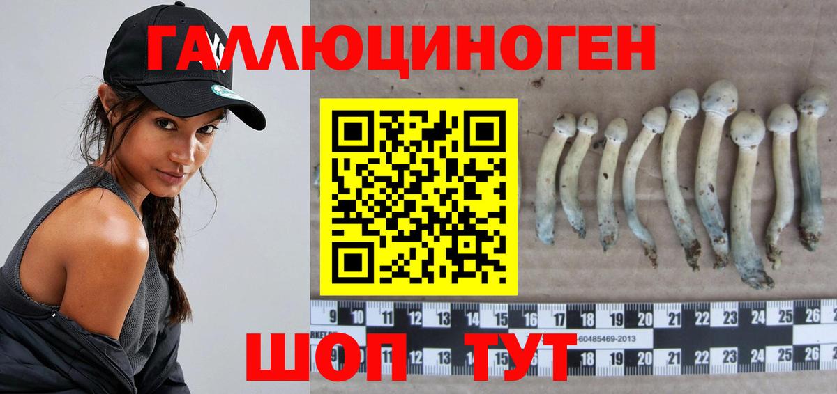 Галлюциногенные грибы MAGIC MUSHROOMS  наркота  Сургут  Вход с VPN 